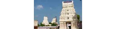 252. திருப்பாசூர்